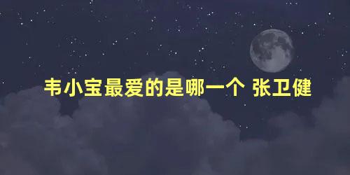 韦小宝最爱的是哪一个 张卫健